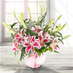 Pink Lily  FREE vase
