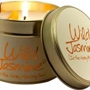 Lily Flame Candle in a Tin - Wild Jasmine